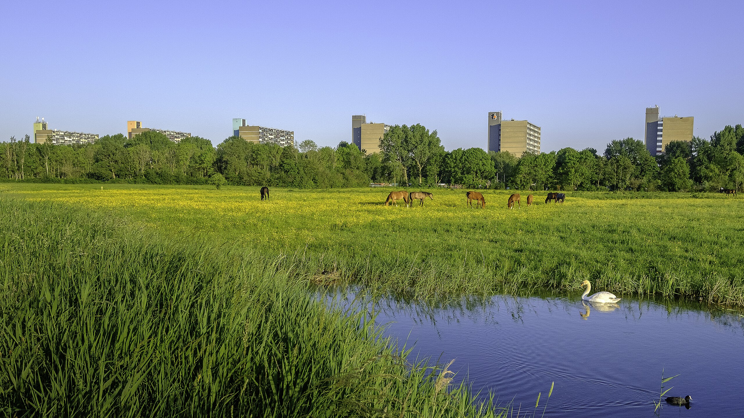 Vinkhuizen is een groene woonwijk met veel ruimte, voorzieningen en een vriendelijke buurtsfeer.
