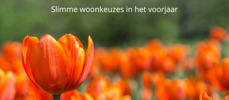 Voorjaar 2026: tijd voor slimme woonkeuzes