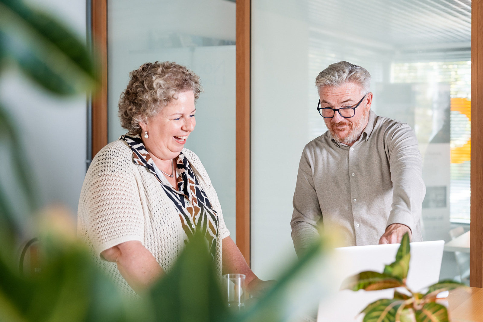 Advies in begrijpelijke taal