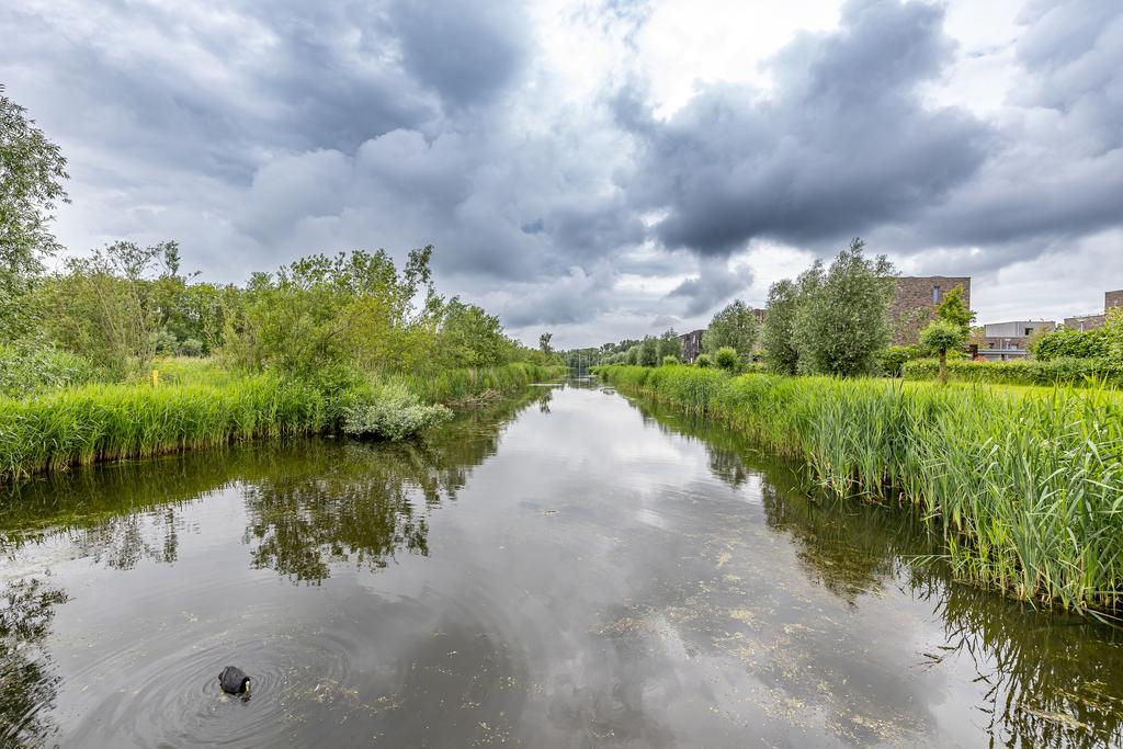 Mergelstraat 2 - Gallery item 49