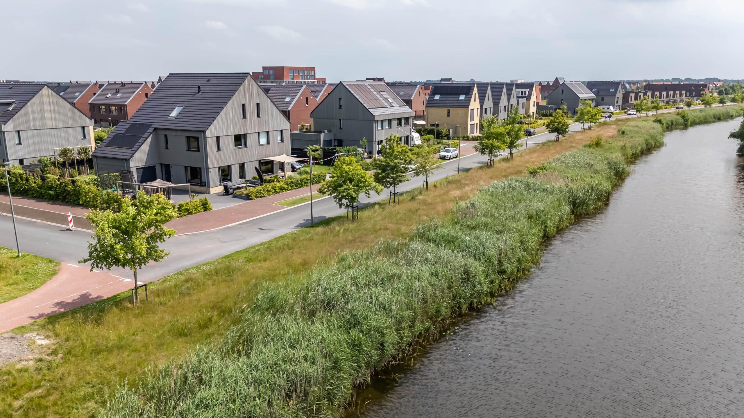 Blaarkop 51 - Gallery item 10