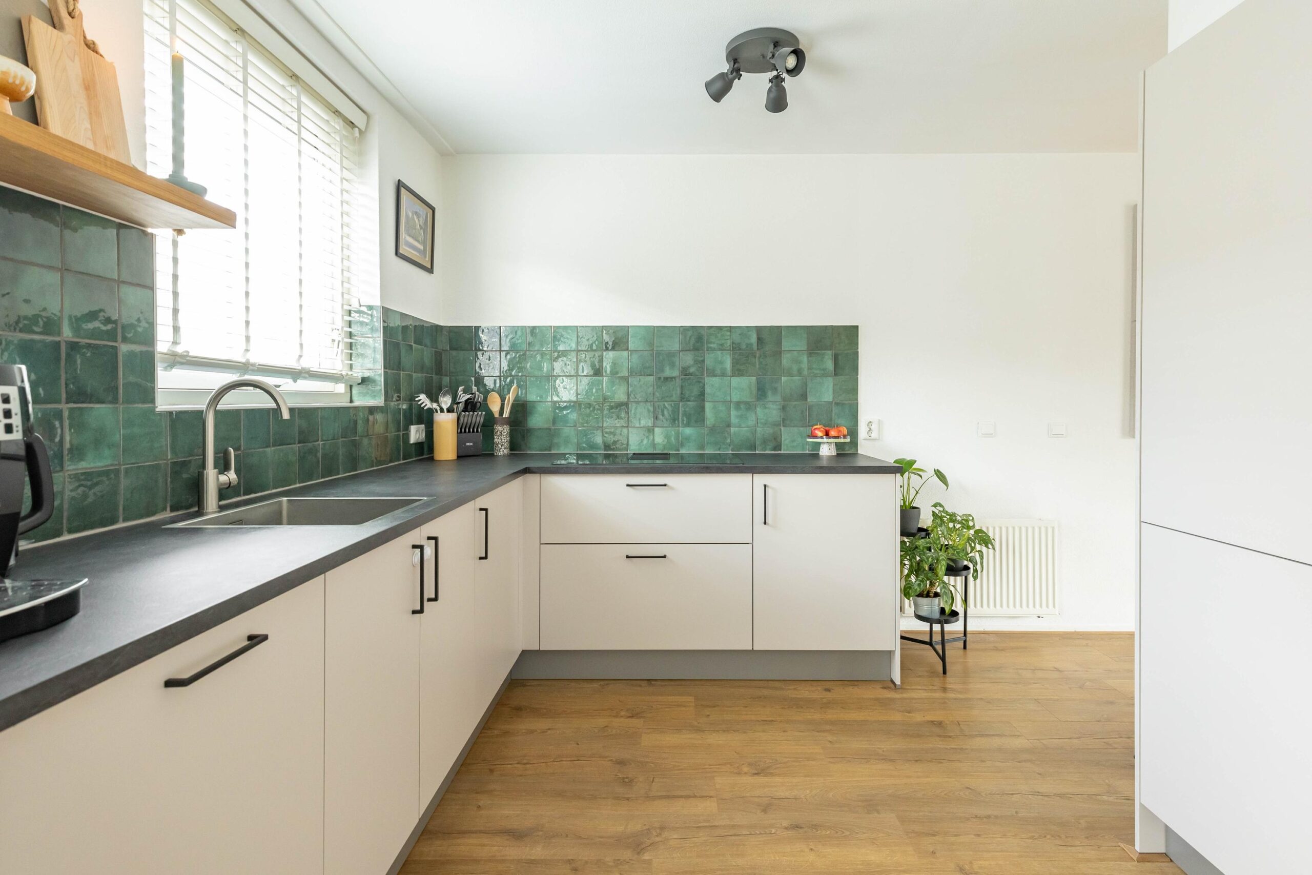 Damsterwaard 42 - Gallery item 3