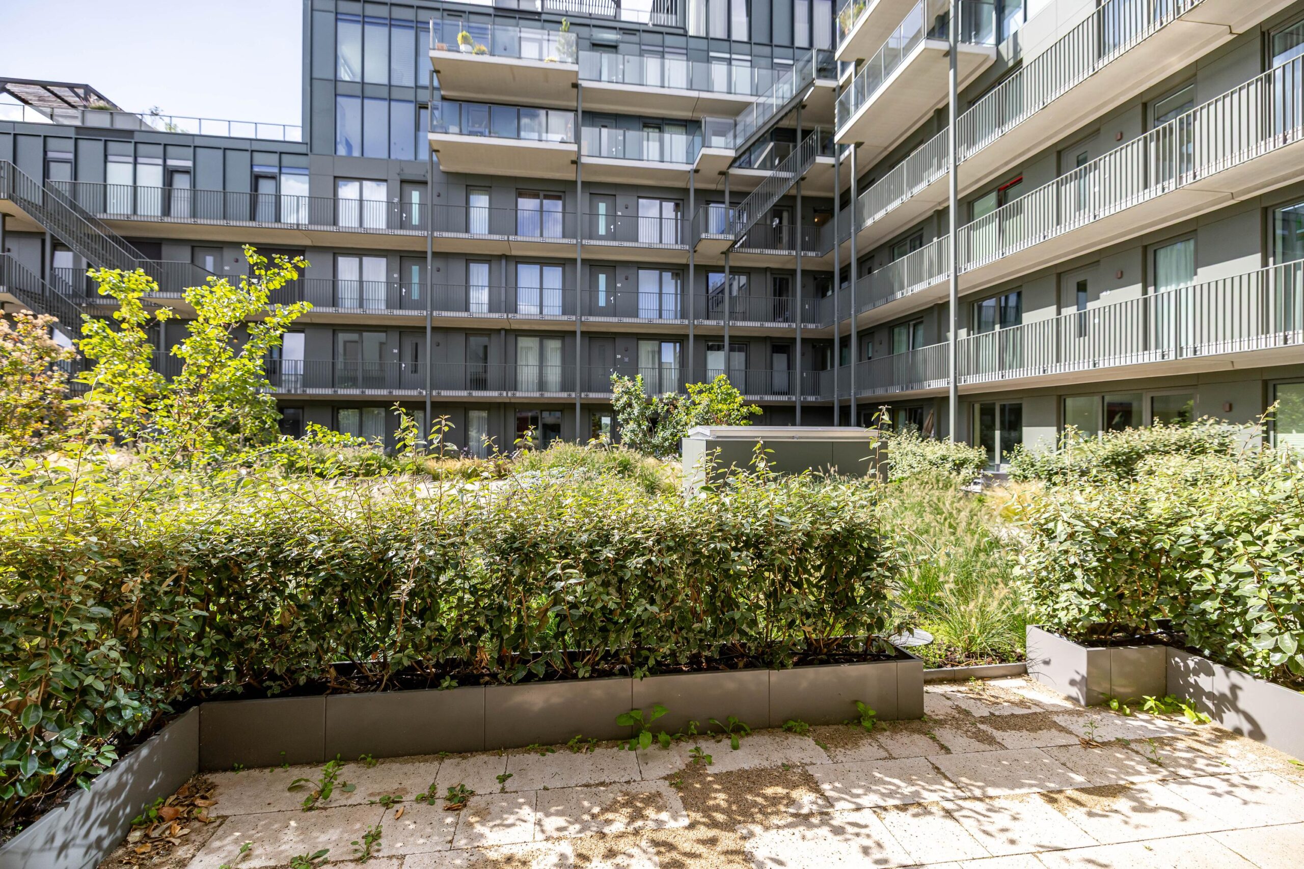 Swurdkade 19 - Gallery item 26