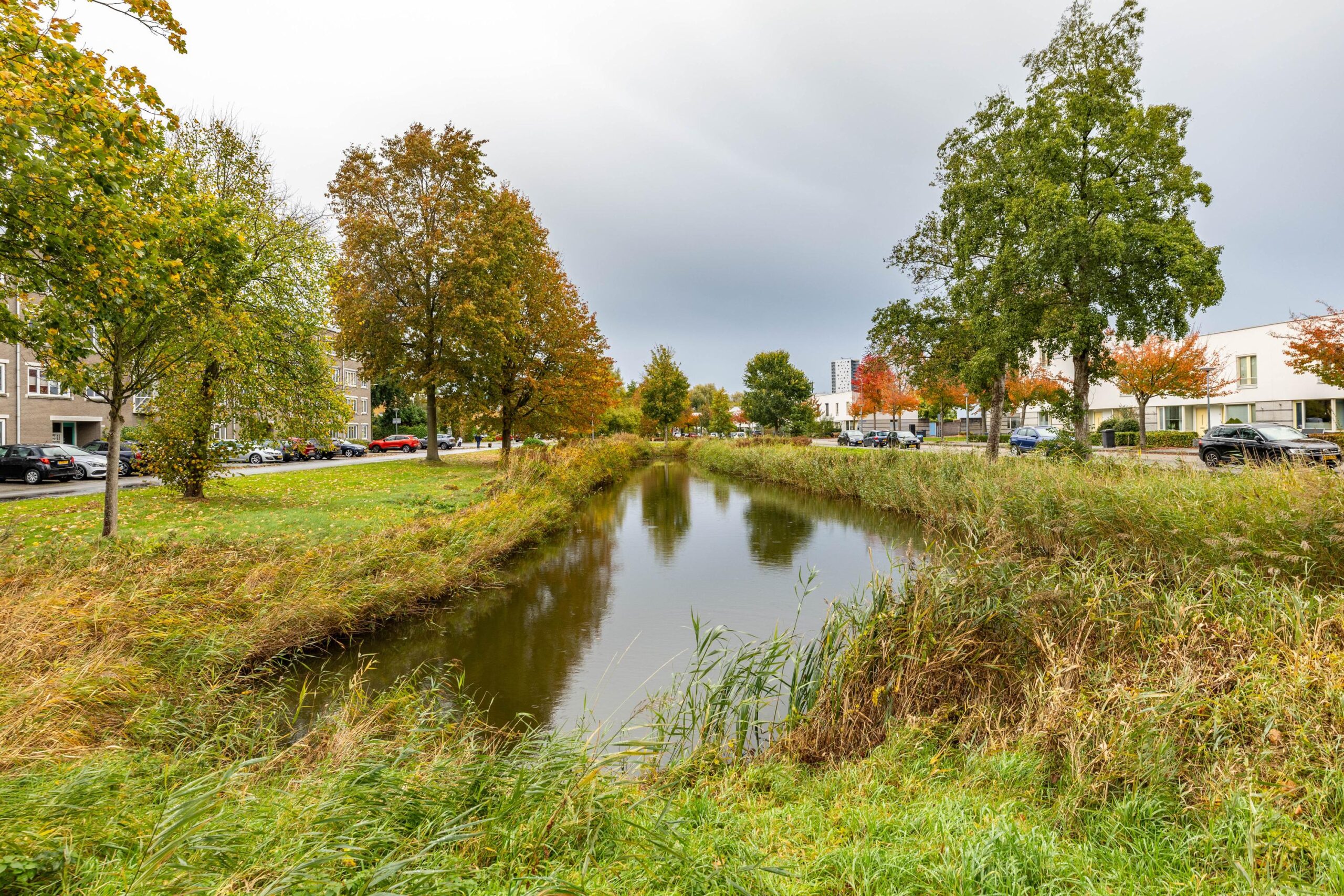 W. Dreesstraat 42 - Gallery item 9