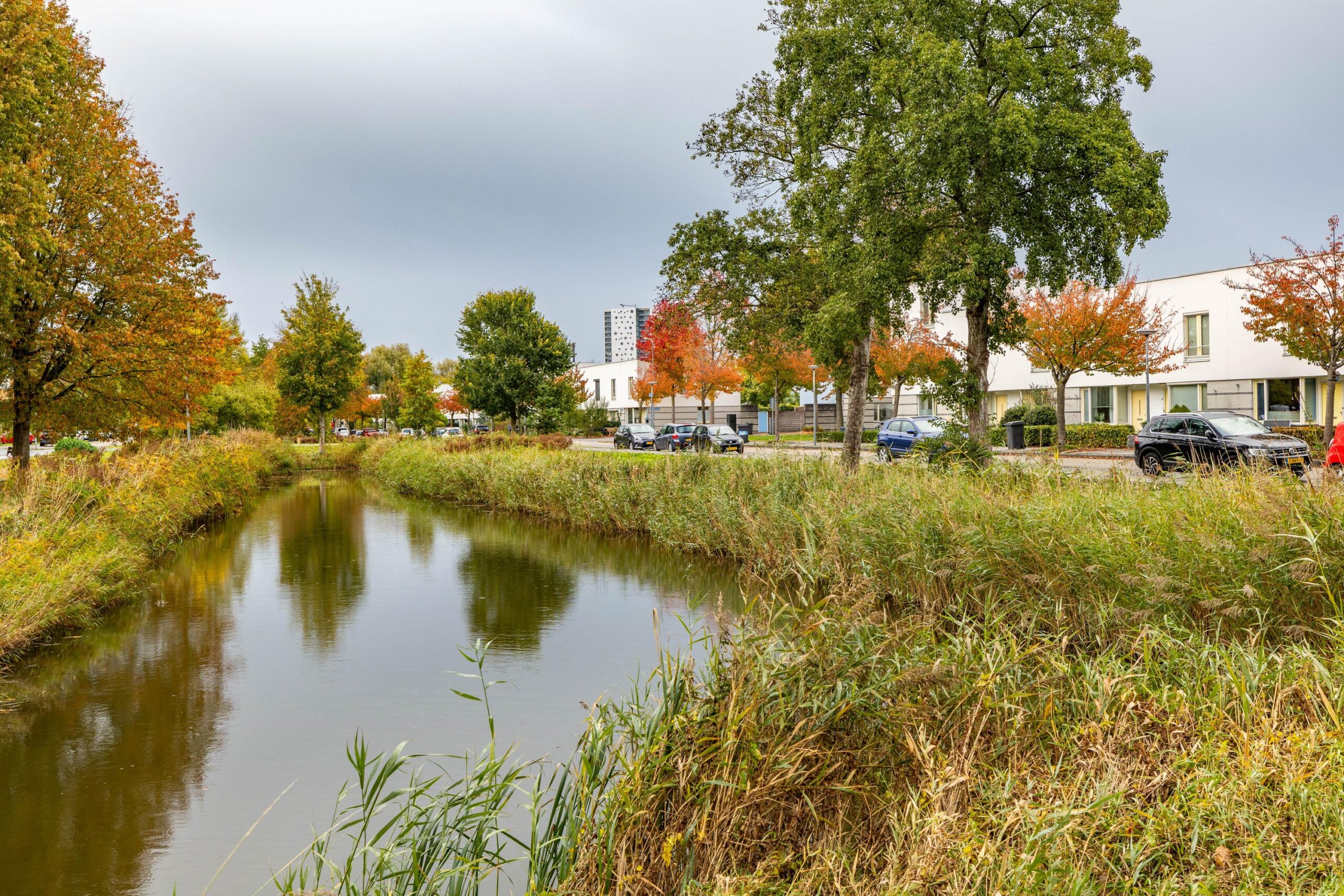 W. Dreesstraat 42 - Gallery item 10