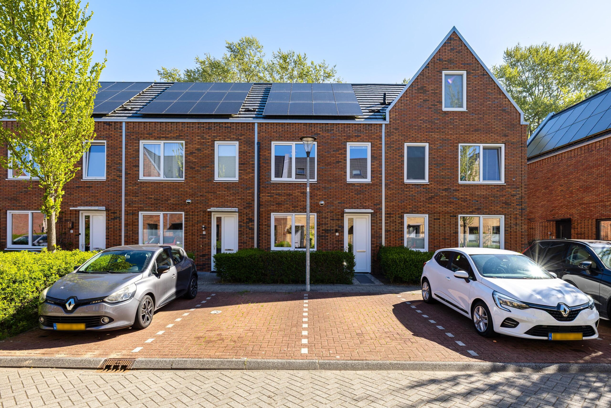Wijnruitstraat 8