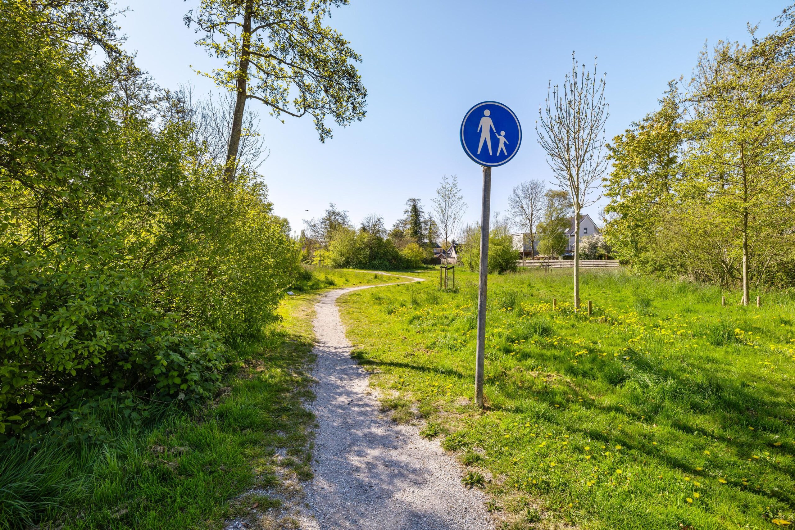 Wijnruitstraat 8 - Gallery item 43