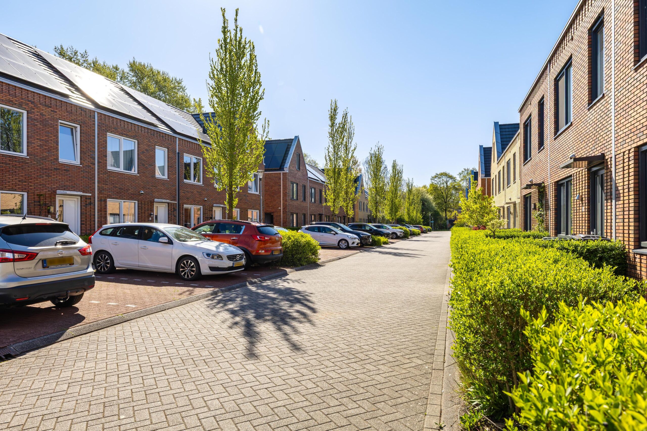 Wijnruitstraat 8 - Gallery item 41