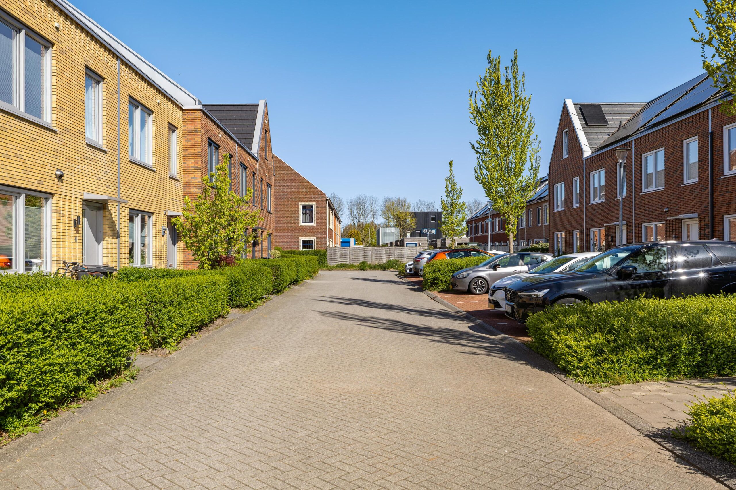 Wijnruitstraat 8 - Gallery item 42