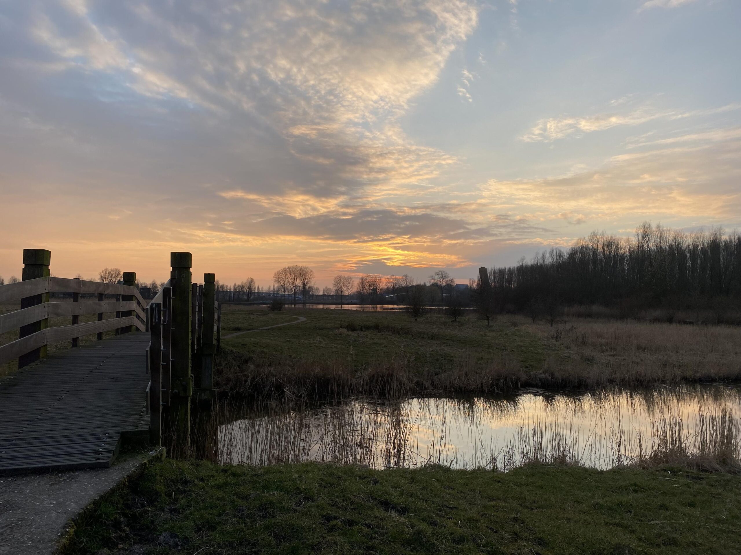 Wijnruitstraat 8 - Gallery item 45