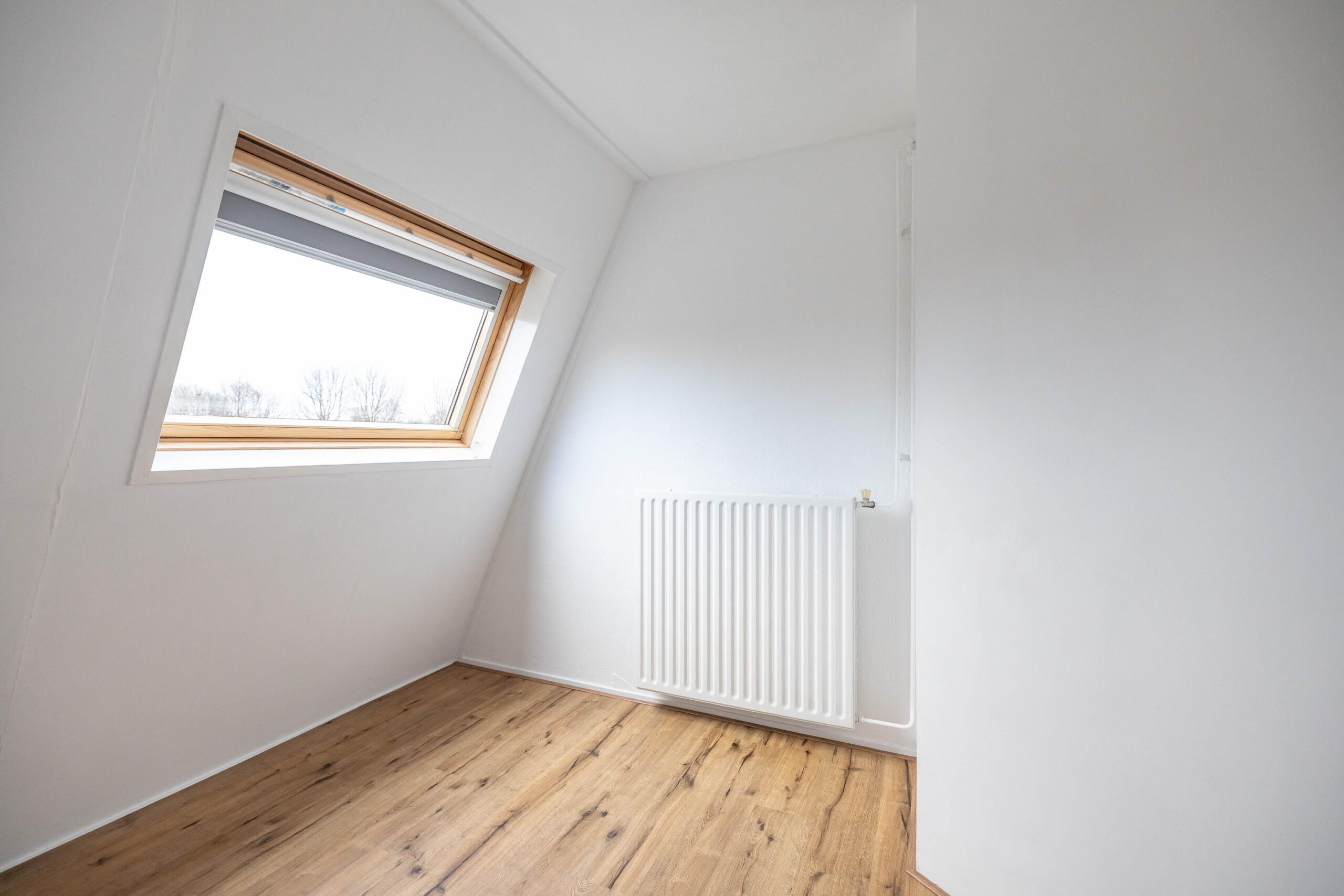 Jaltadaheerd 197 - Gallery item 29