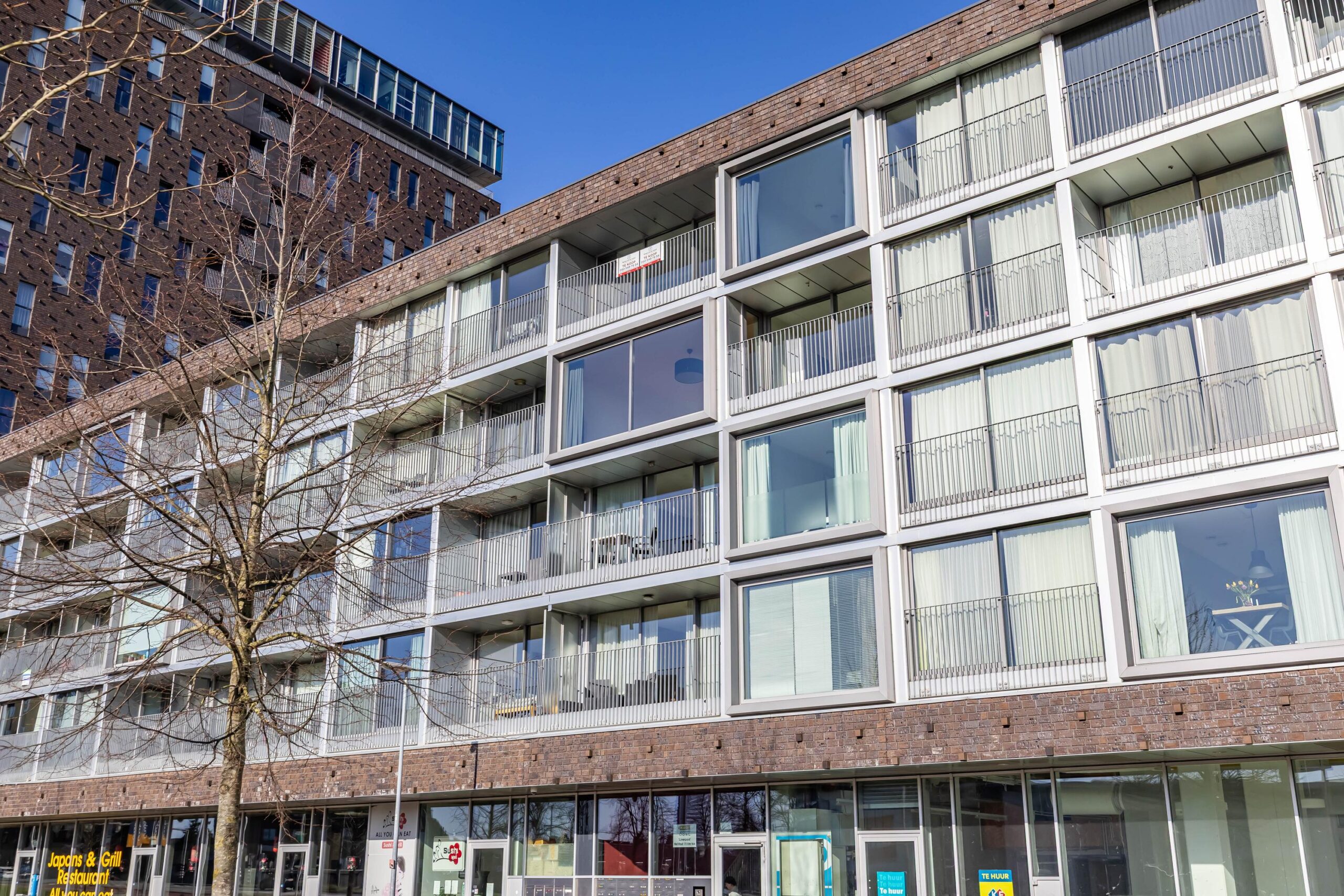 Het Hout 117 - Gallery item 10