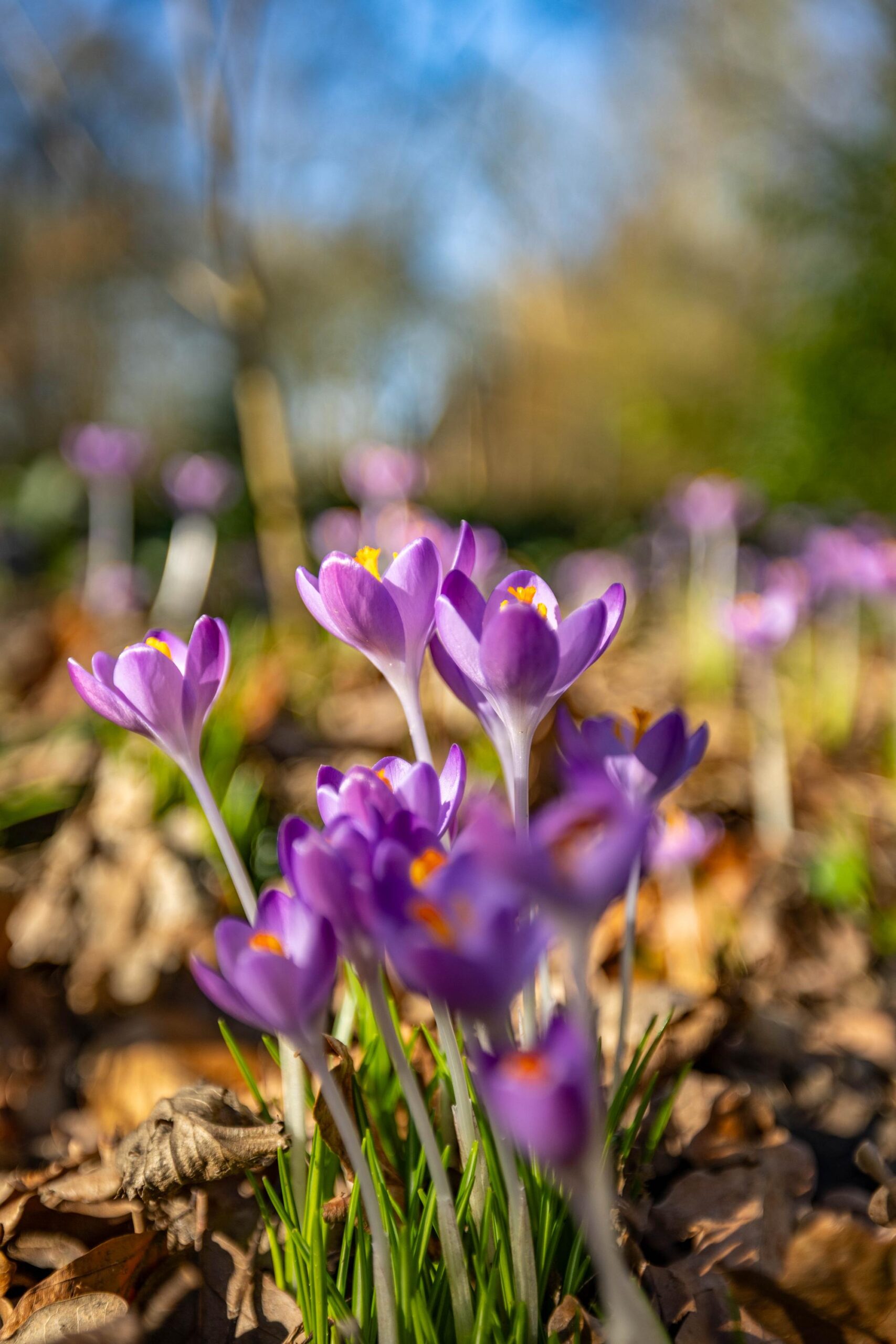 Helper Brink 61 148 - Gallery item 9