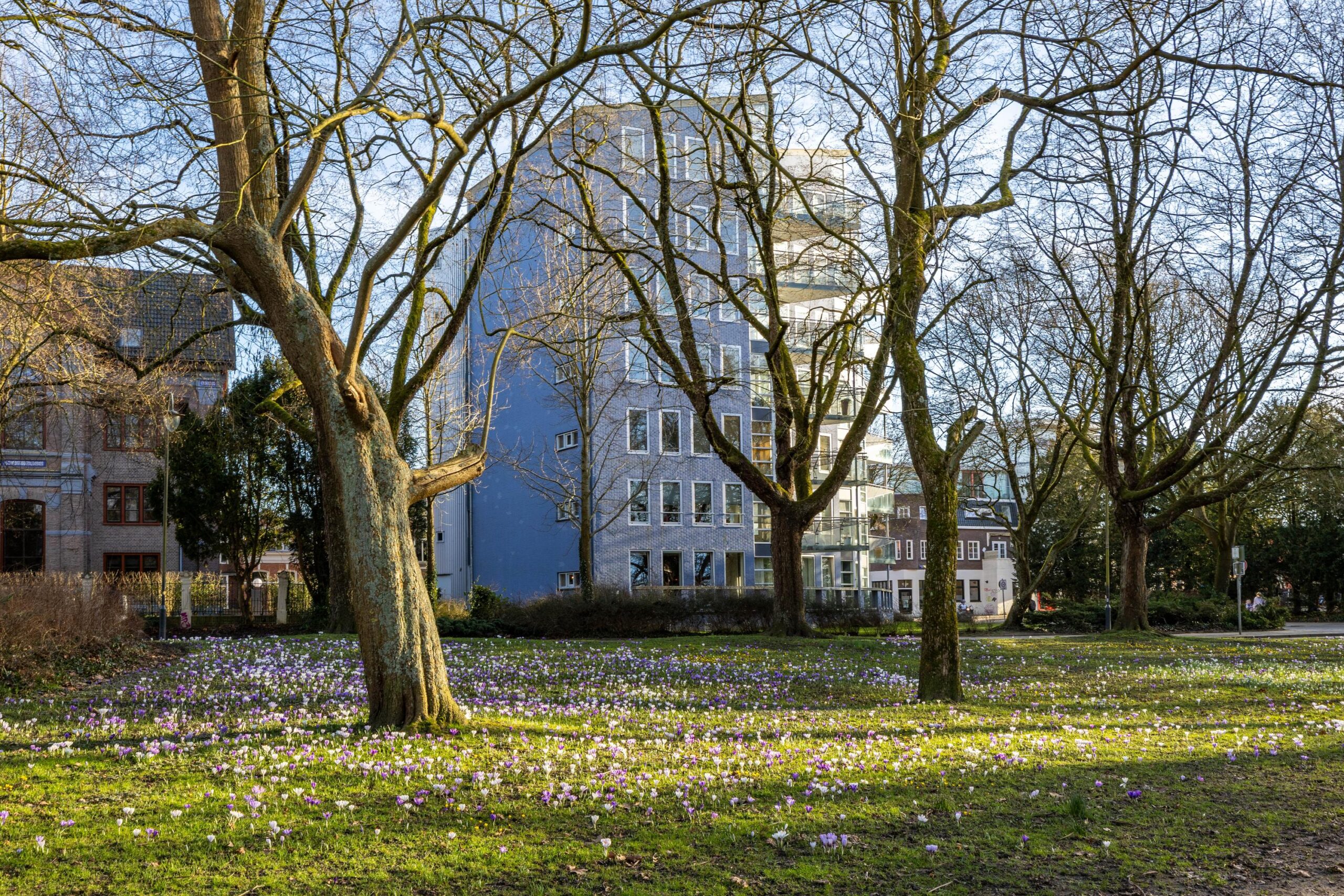 Noorderbinnensingel 11 1 - Gallery item 8