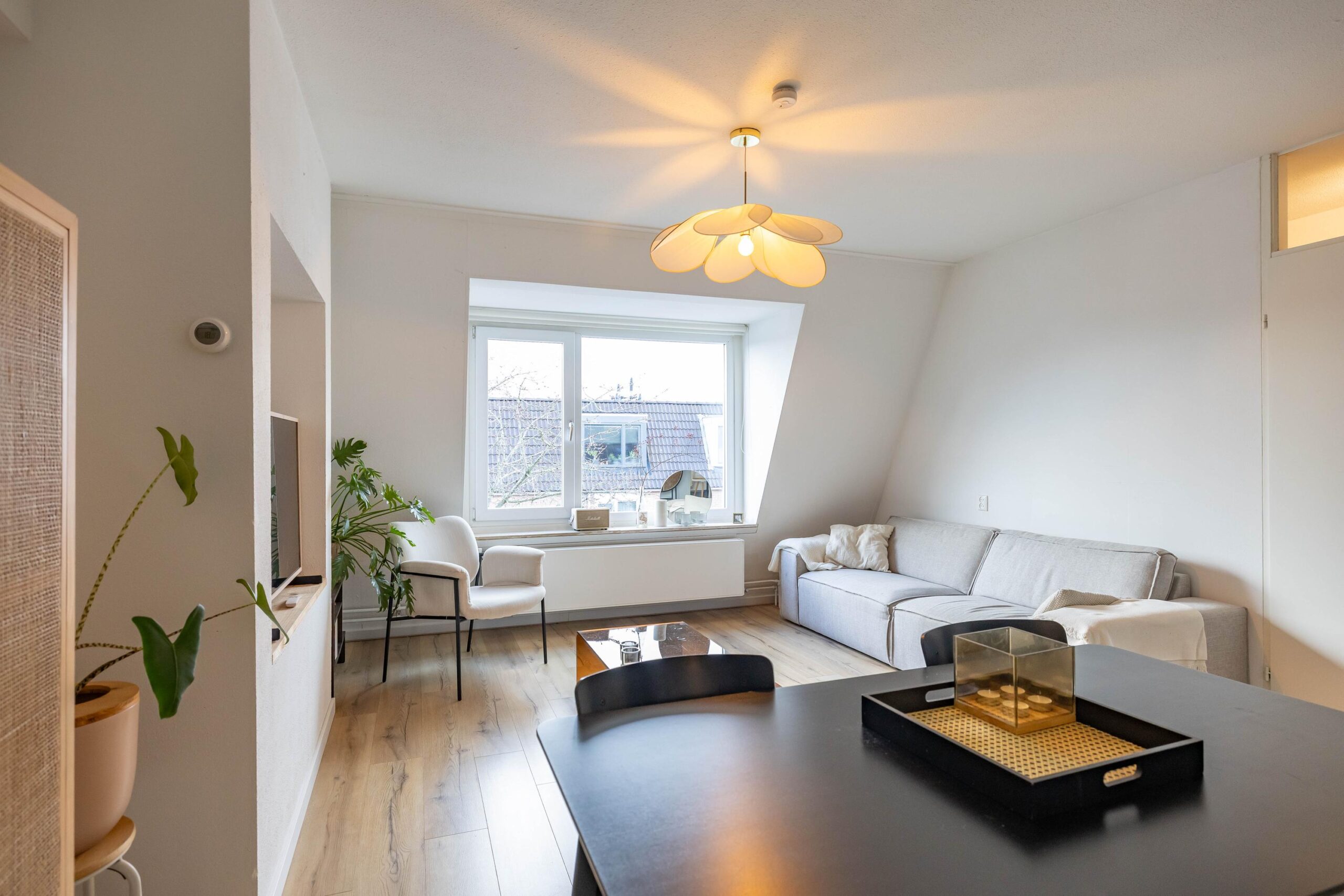 Jaltadaheerd 225 - Gallery item 14