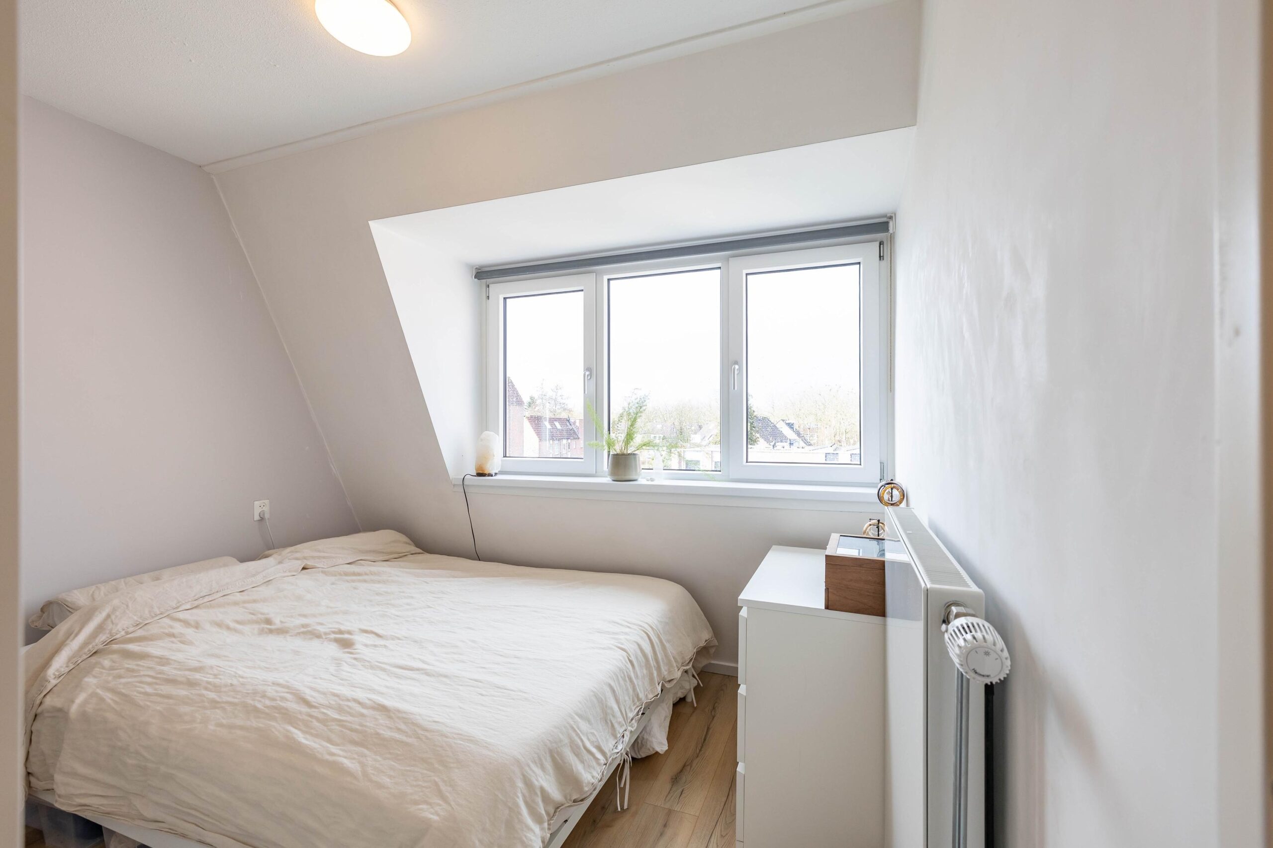 Jaltadaheerd 225 - Gallery item 27