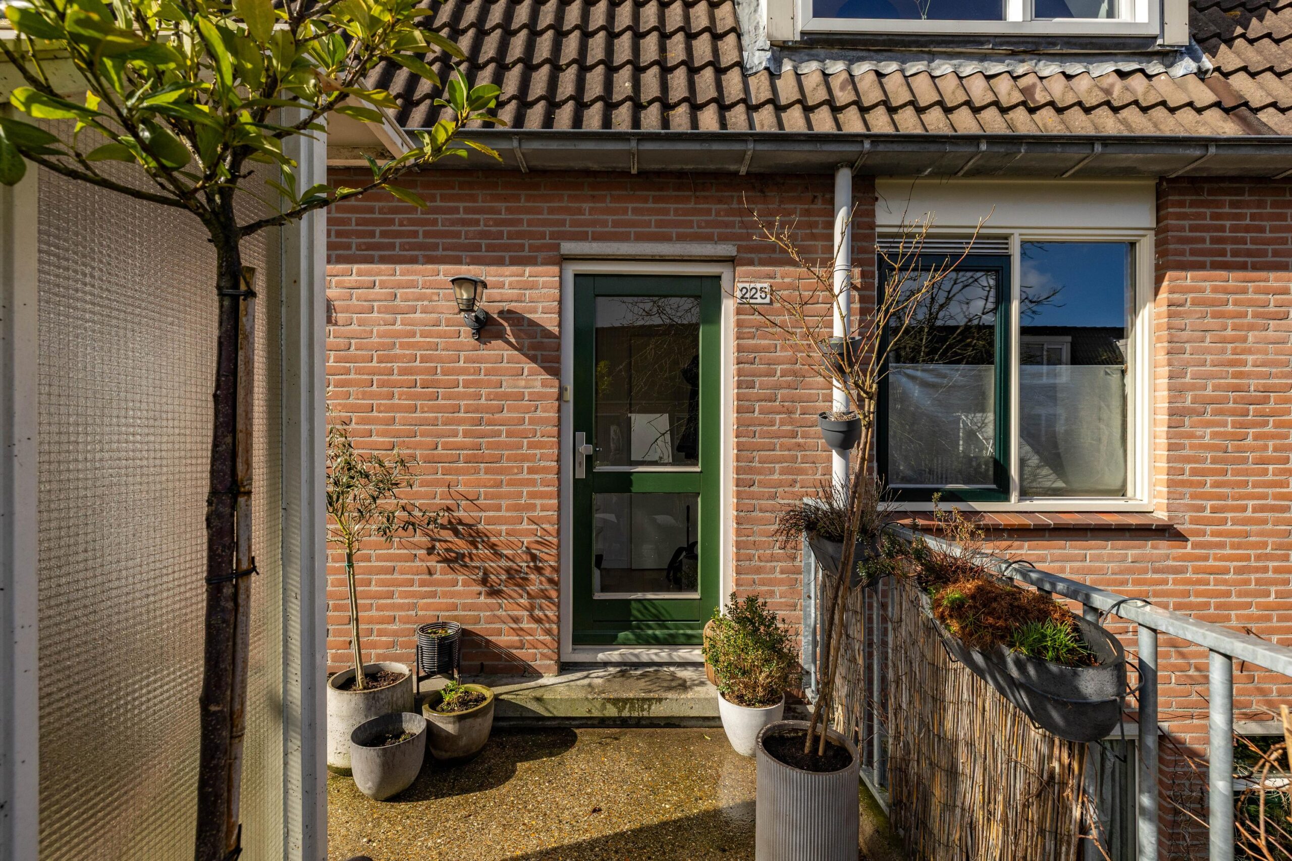 Jaltadaheerd 225 - Gallery item 9