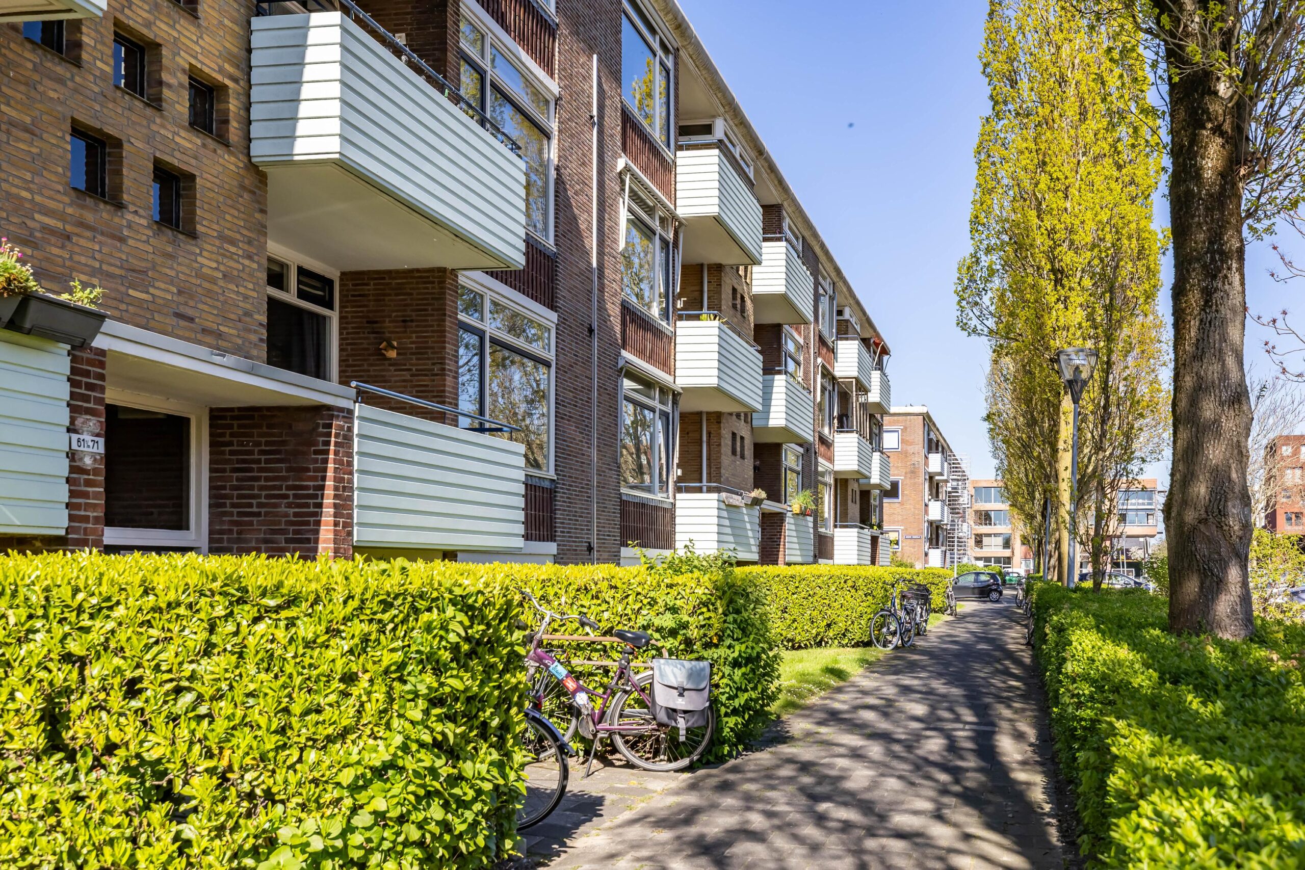 Jacob van Ruysdaelstraat 45 - Gallery item 8