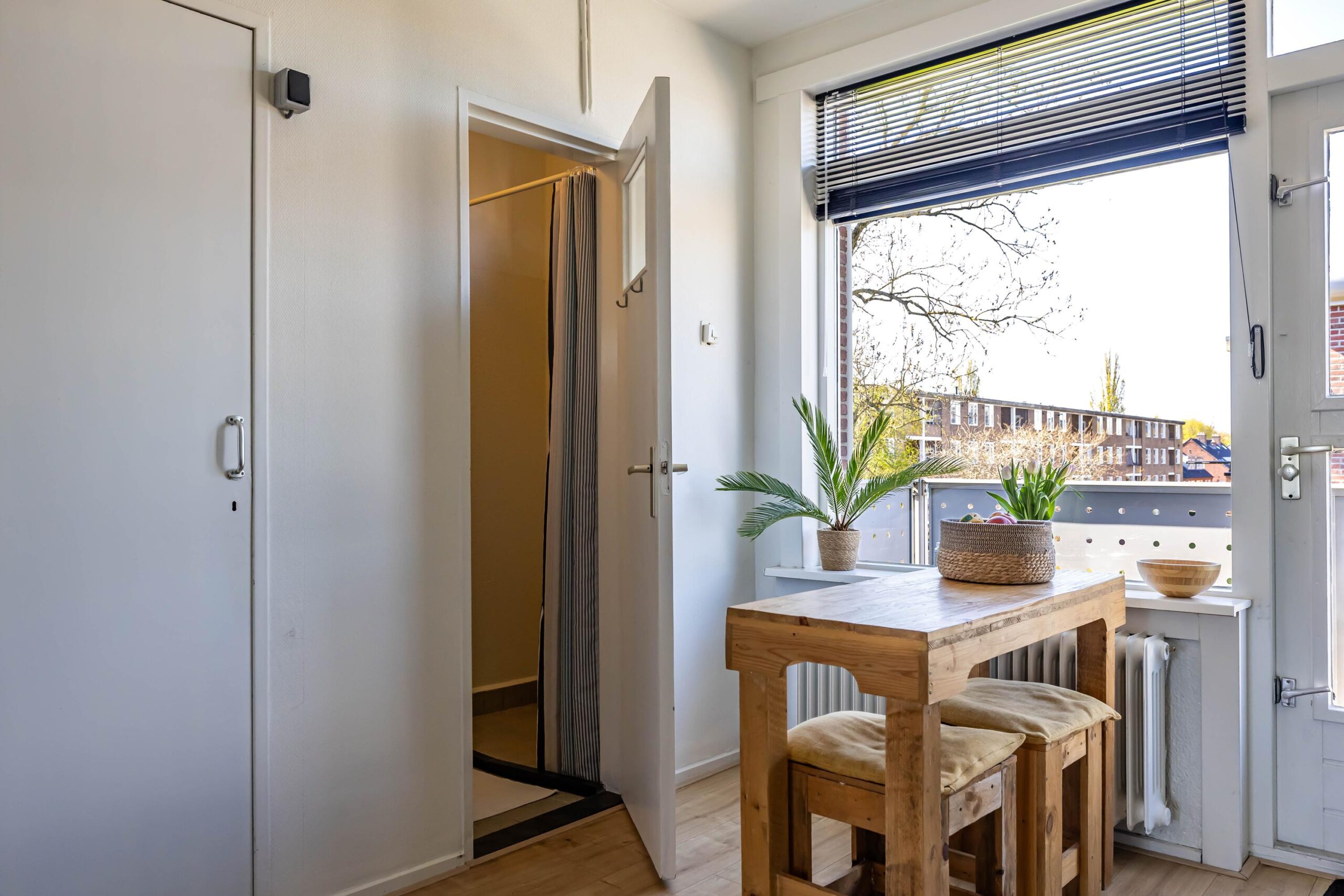 Jacob van Ruysdaelstraat 45 - Gallery item 30