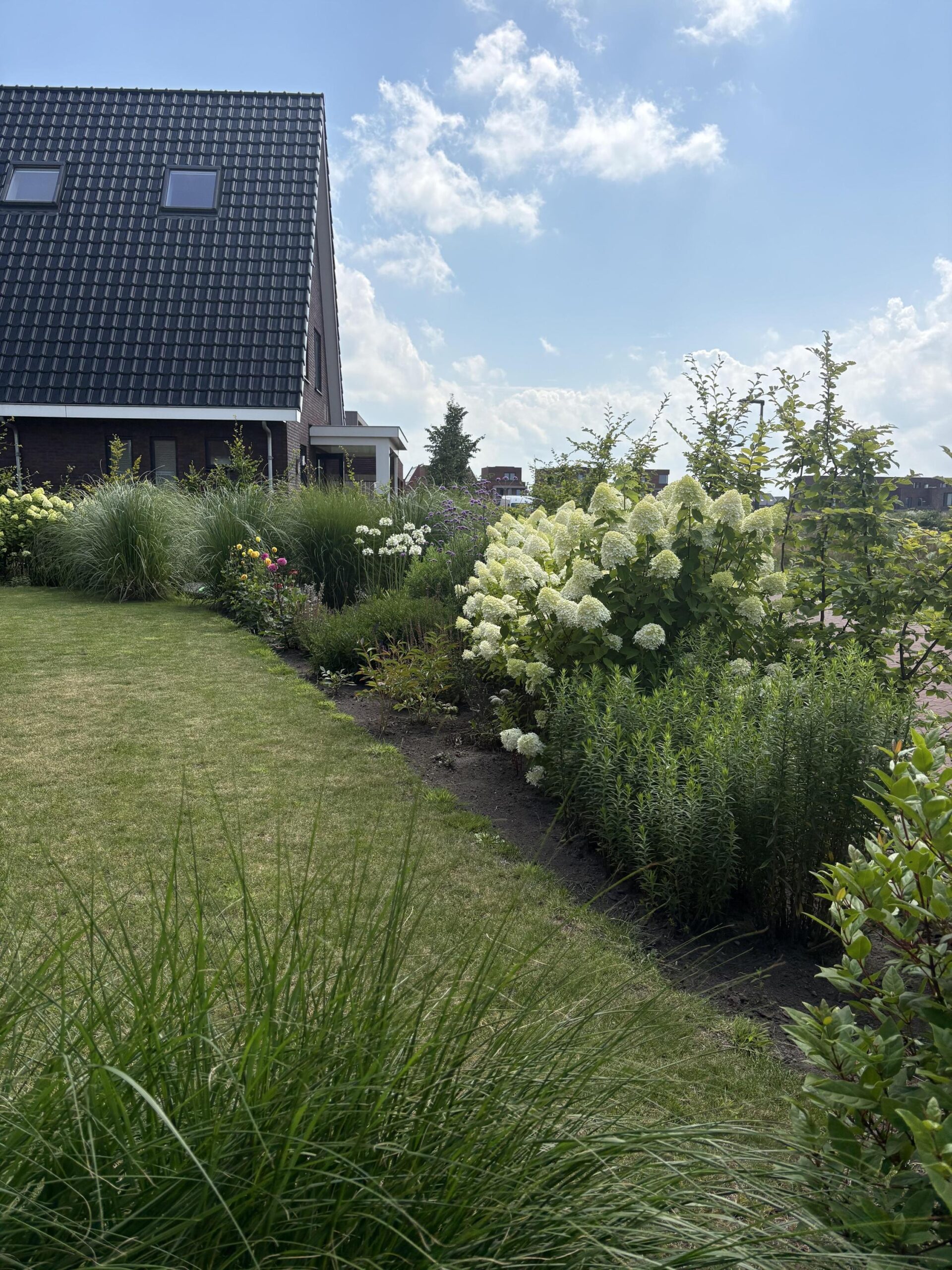 Brandrood 29 - Gallery item 37