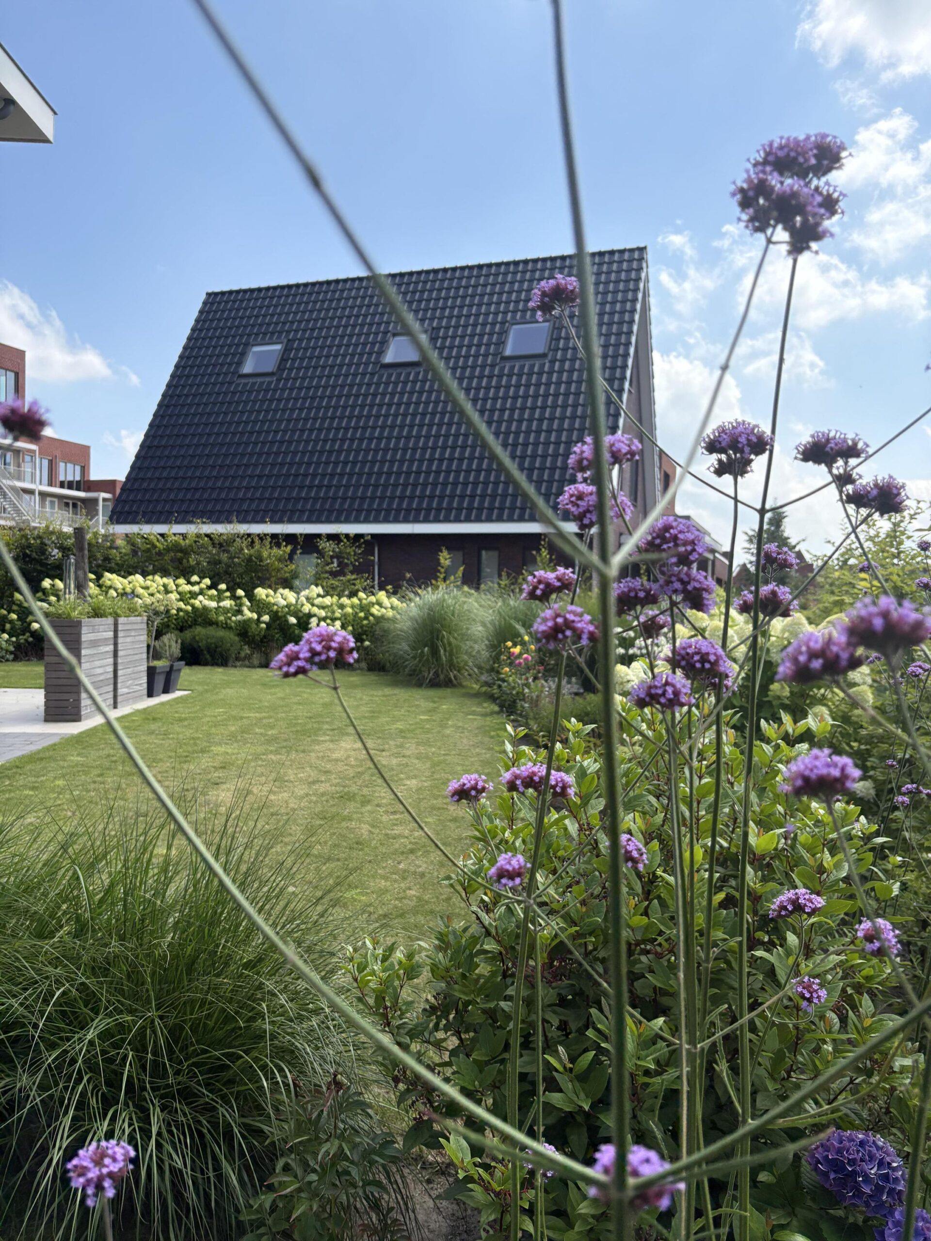 Brandrood 29 - Gallery item 38