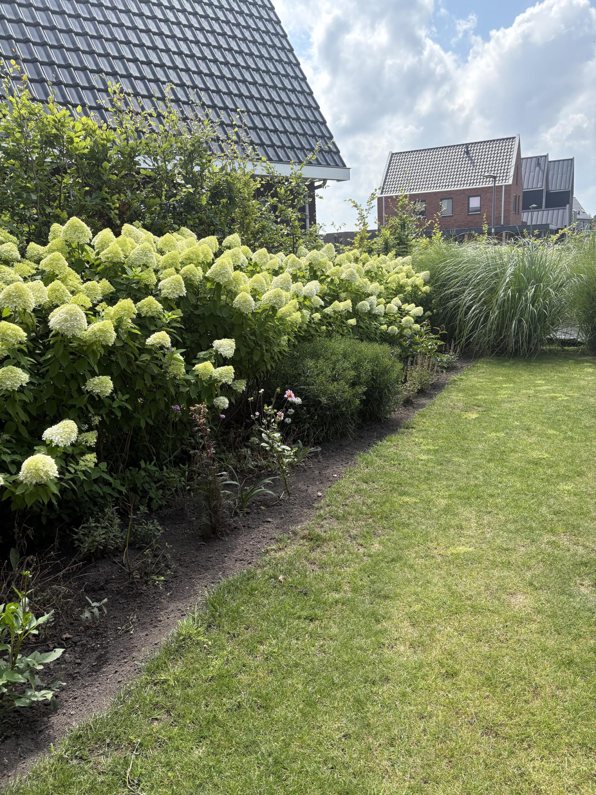 Brandrood 29 - Gallery item 36