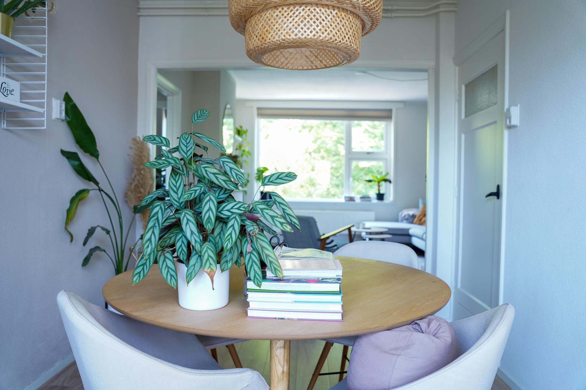 Pioenstraat 37 - Gallery item 8
