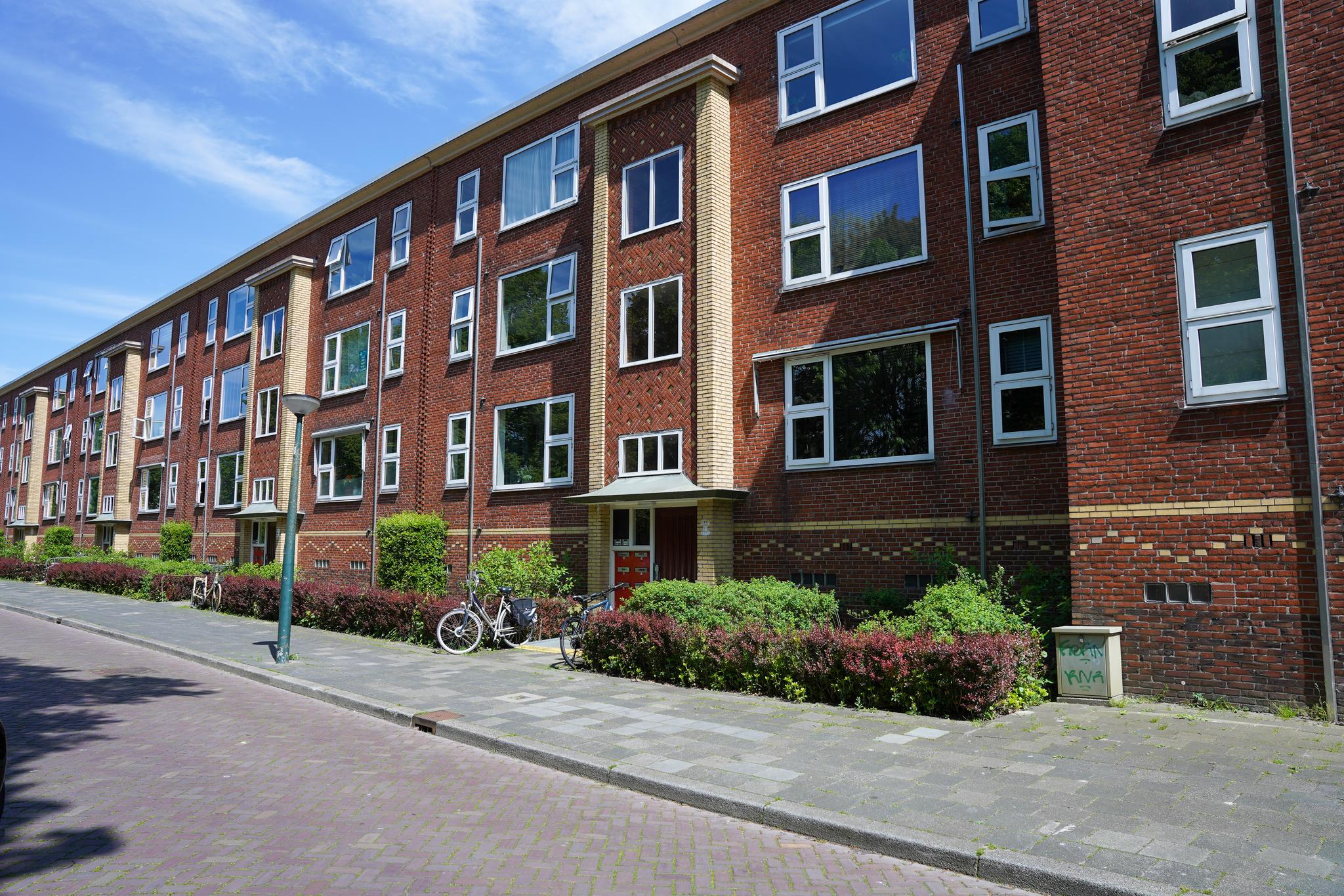 Pioenstraat 37