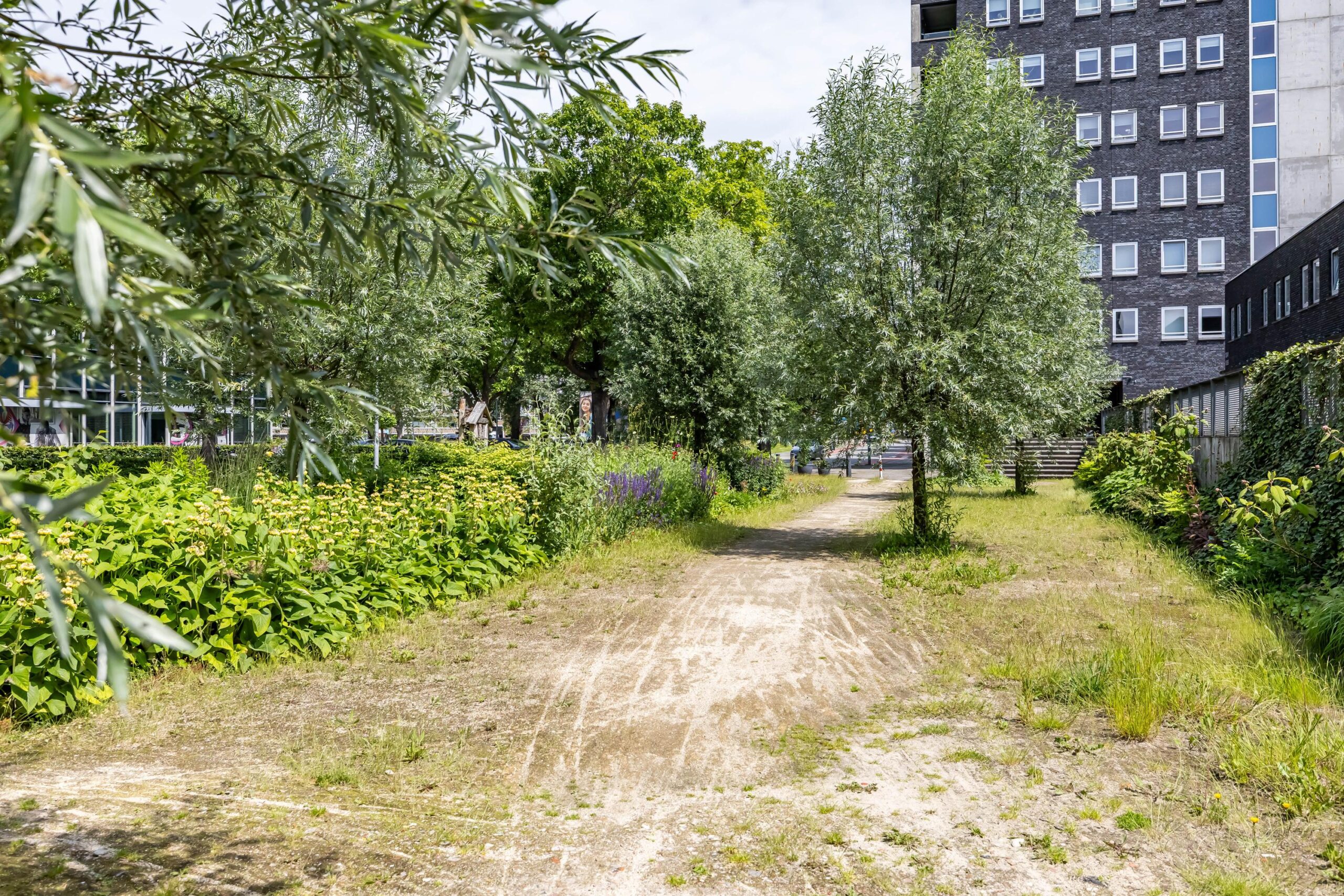 Van Iddekingeweg 138 57 - Gallery item 65