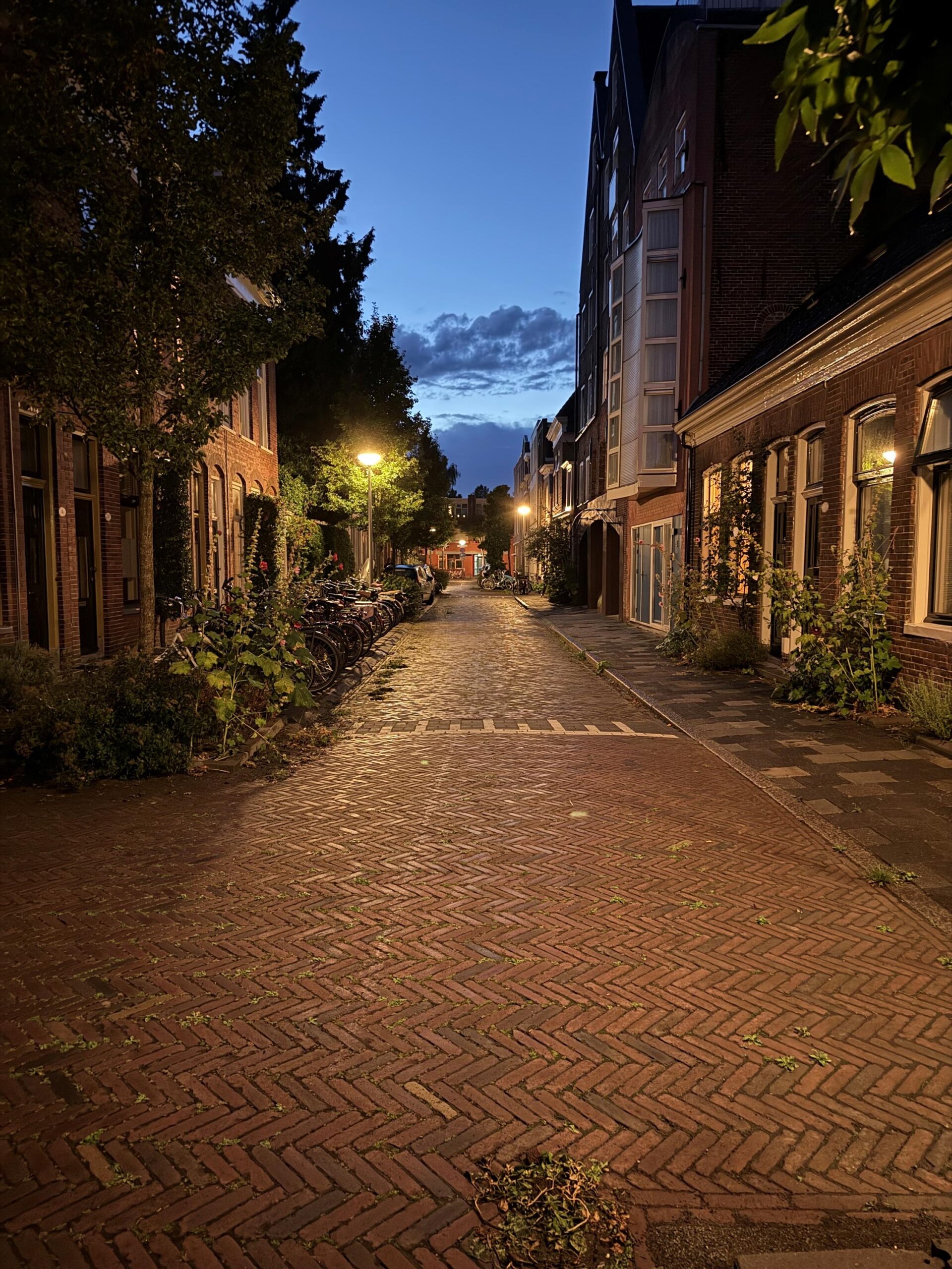 Grote Leliestraat 127 - Gallery item 46