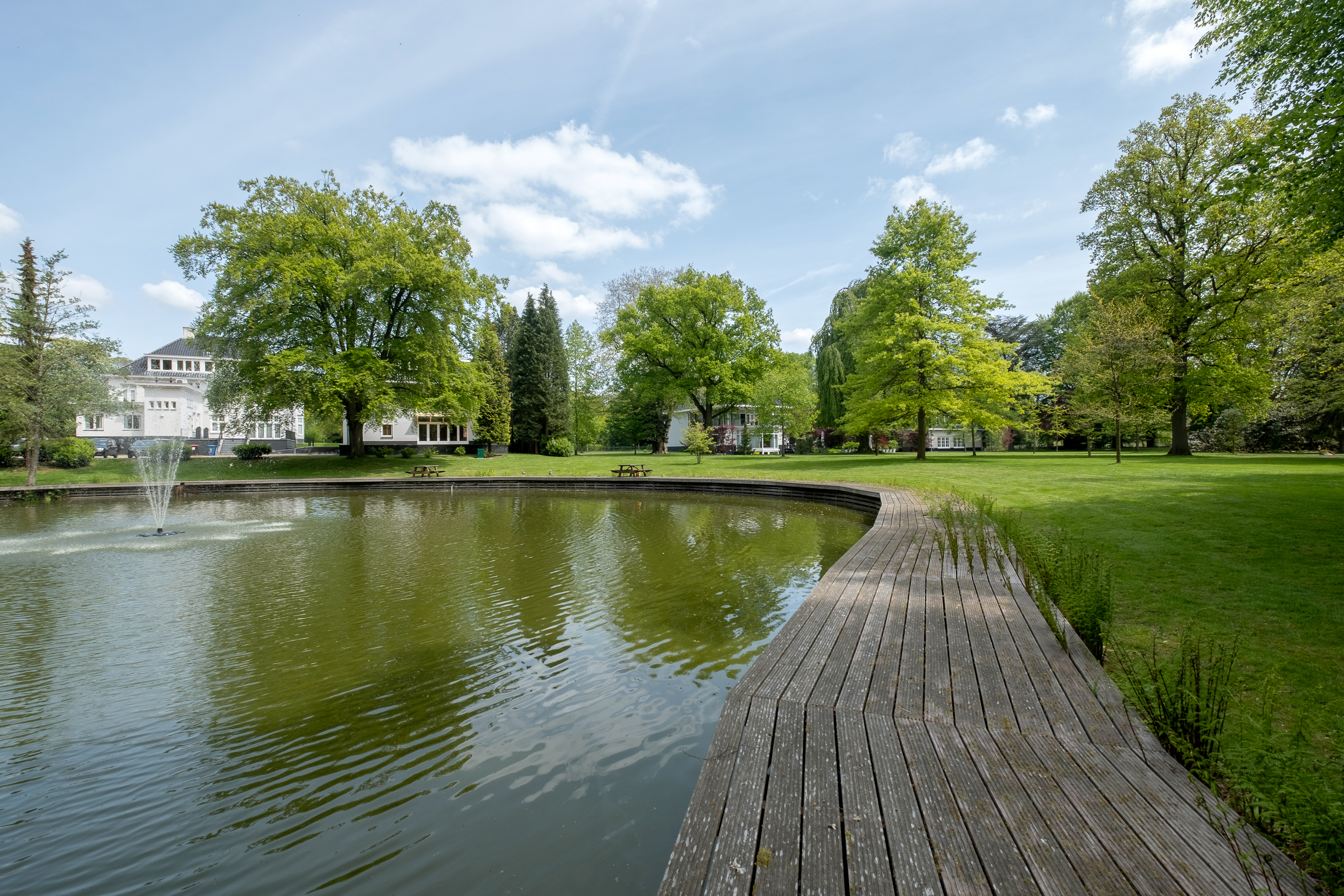 pandomo-brd-190514-rijksstraatweg-363-19.jpg