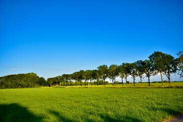 Zomerse taferelen op de woningmarkt
