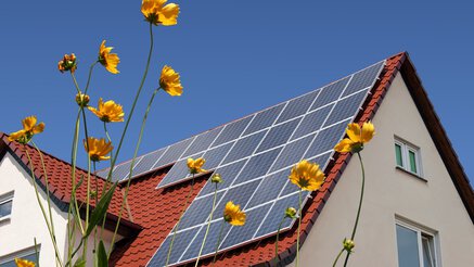 Feiten over de woningmarkt tijdens de zomer van 2020