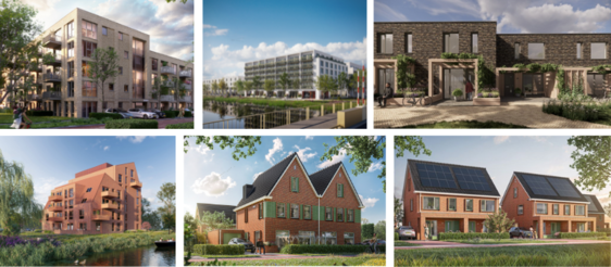 Zomerse actiedagen