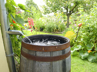 Tips voor een duurzame tuin