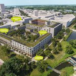 De Suikerzijde - Elysium - foto 6