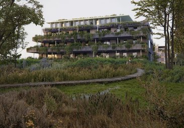 Onlander Waarde Onlander Waarde