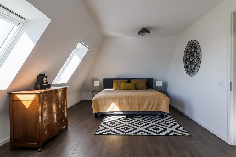 Cantharel 49 - foto 19