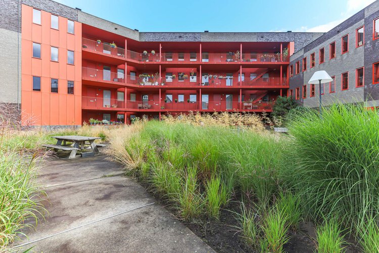 Ebbingedwinger 40 - foto 1