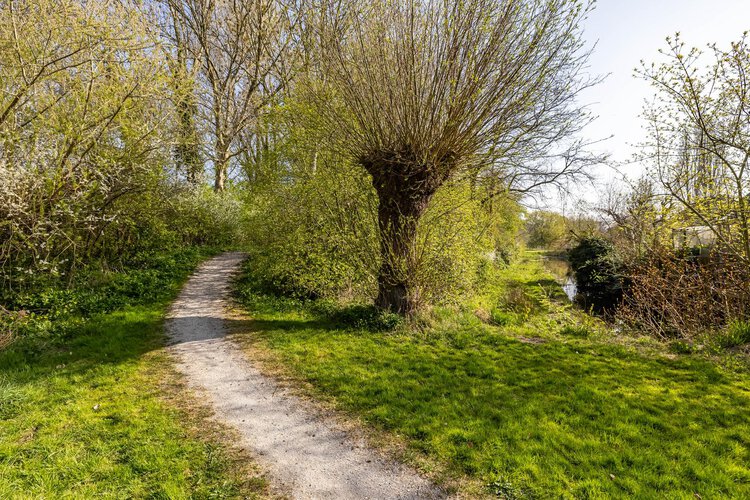 Tormentilstraat 78 - foto 50