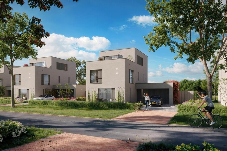 Op de Roeibaan - foto 2