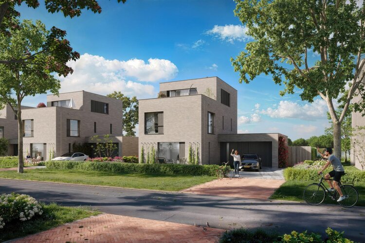 Op de Roeibaan - foto 6