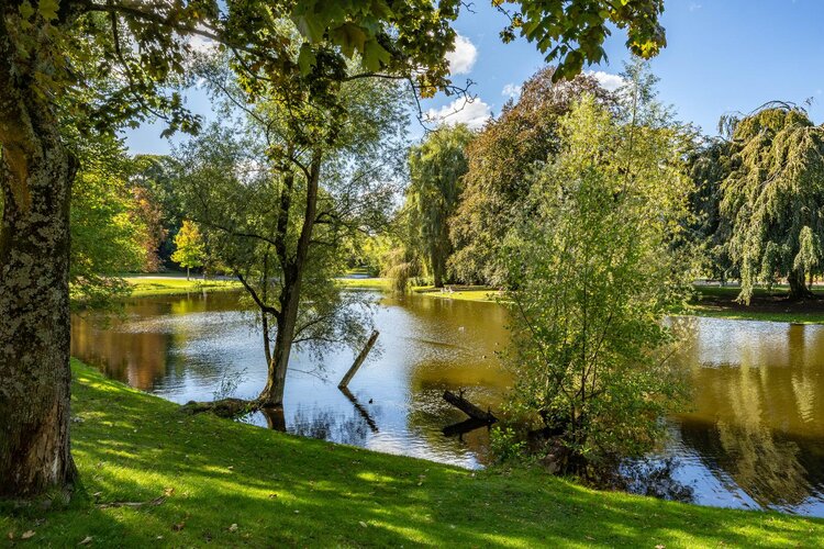 Grote Kruisstraat 29 - foto 7