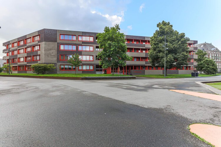 Ebbingedwinger 40 - foto 34