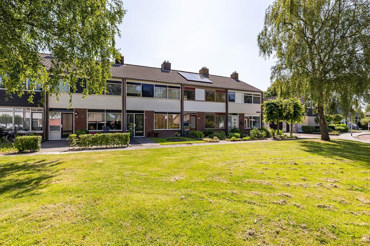 Singelhorn 1 - foto 53