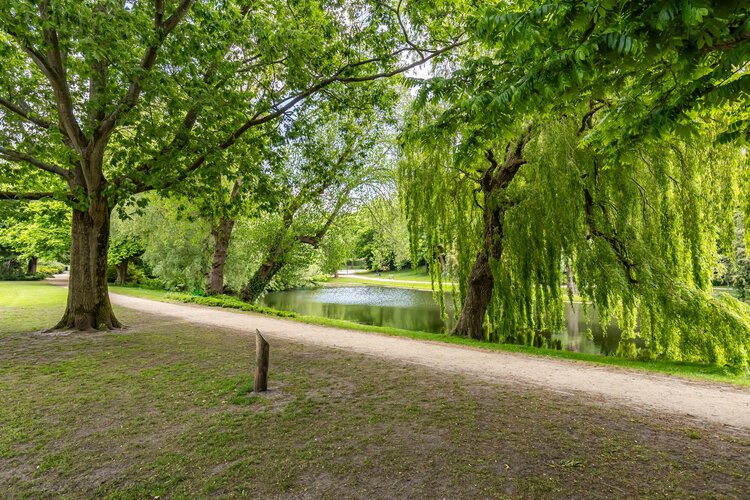 Plantsoenstraat 50 - foto 58