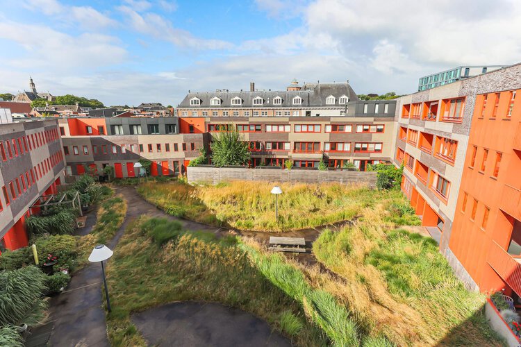 Ebbingedwinger 40 - foto 38