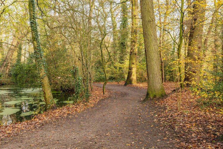 Helper Brink 69 - foto 53