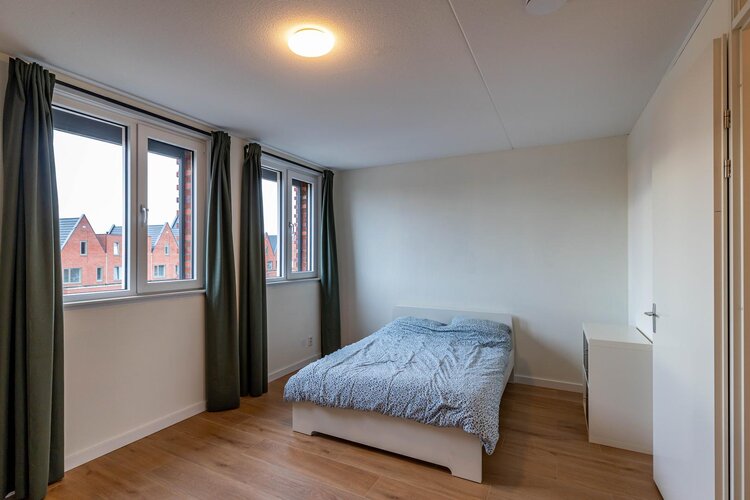 Hooglander 23 - foto 51