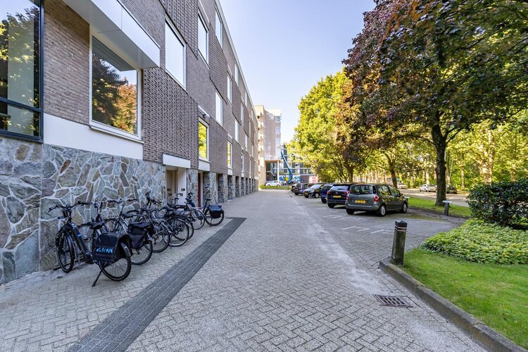 Helper Brink 61 161 - foto 13